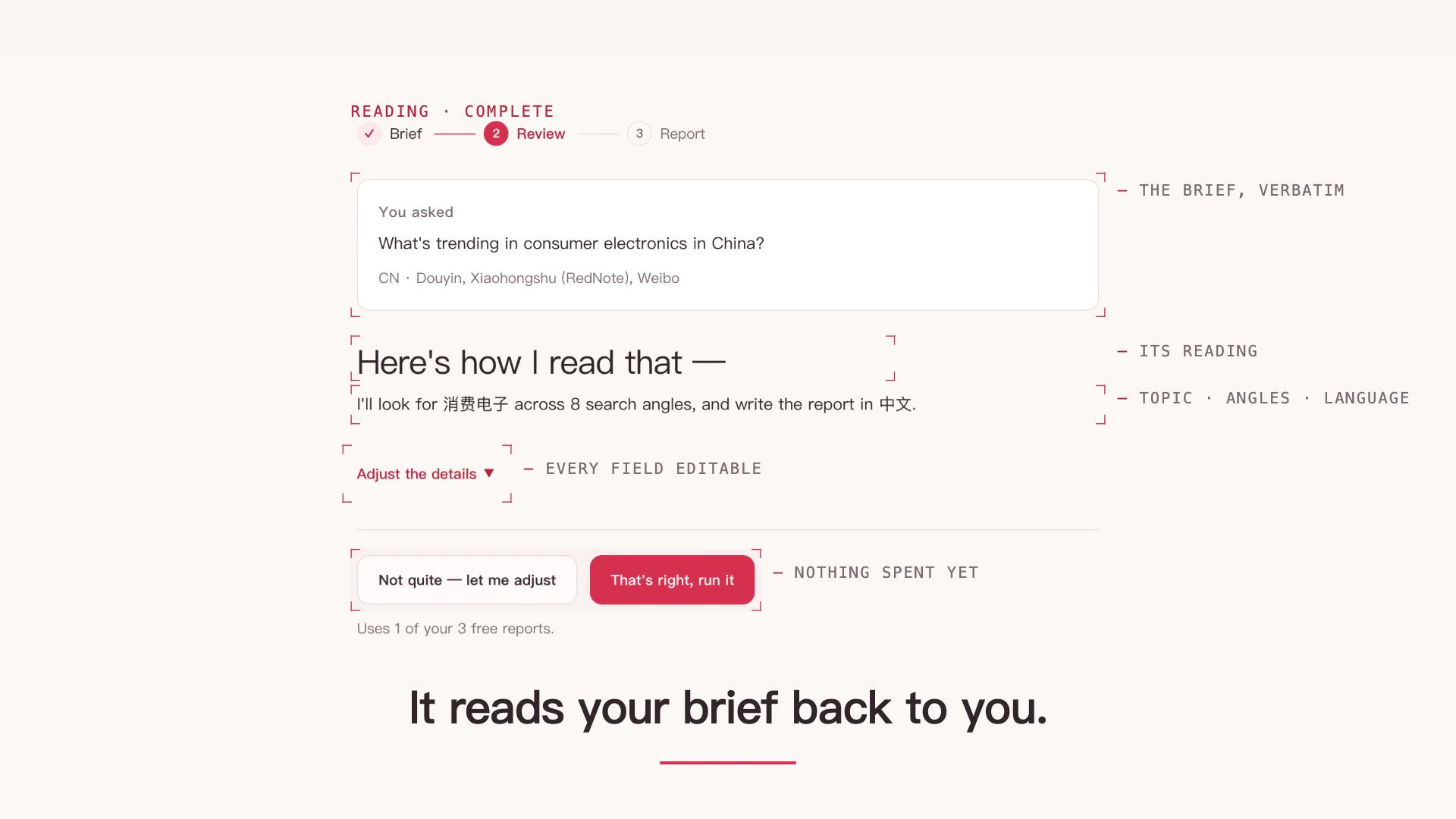 The interpretation screen: WrapInsight reading a brief back to you before it spends anything, with every field editable